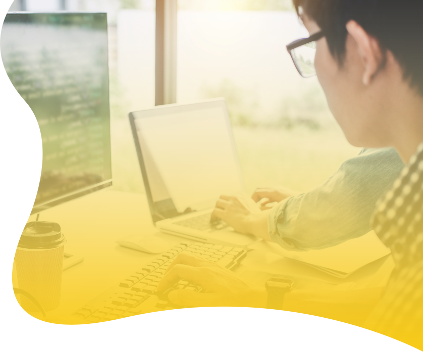 Web System Development